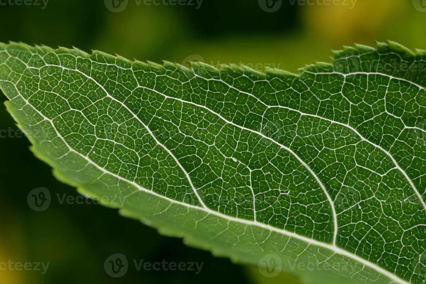 onthulling van de natuur pracht in elke delicaat ader, een caleidoscoop van schoonheid siert deze detailopname elegantie, waar groen wordt een ingewikkeld tapijtwerk van leven foto