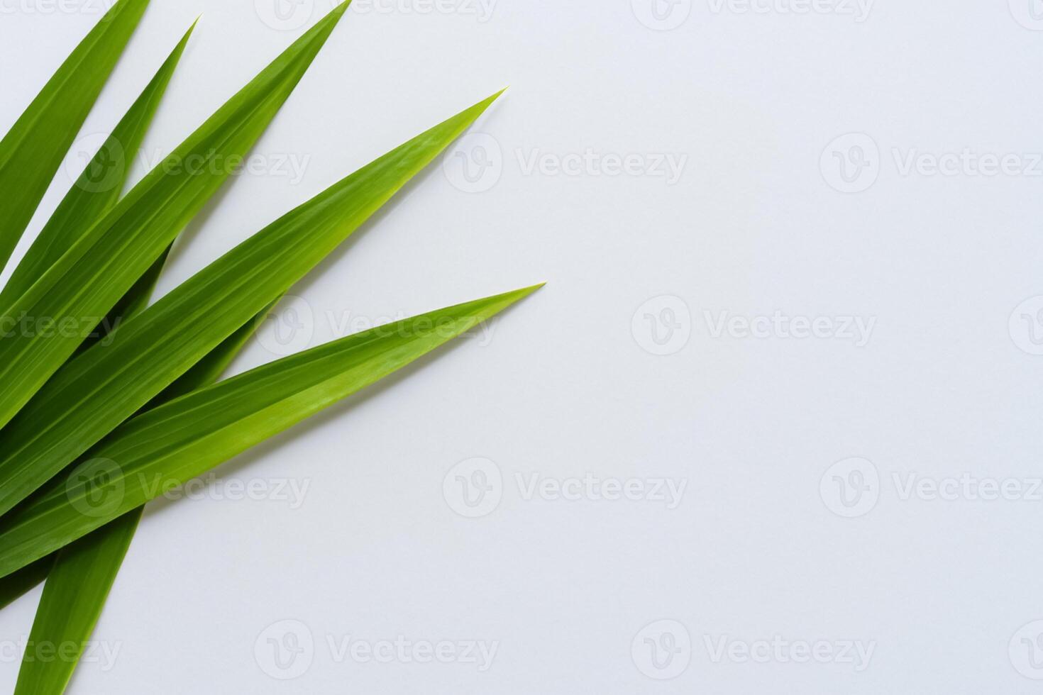 een culinaire odyssee met de mooi pandan blad, infuseren delicaat aroma's en levendig groen tinten in voortreffelijk borden, verheffen smaak profielen met van de natuur vers elegantie foto