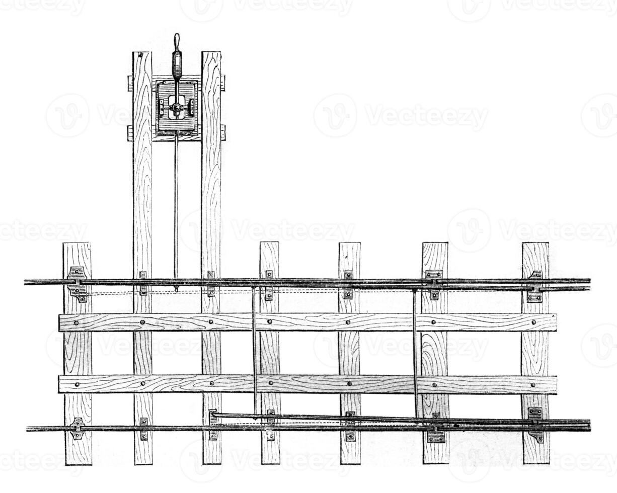 naalden gemakkelijk horizontaal vlak, wijnoogst gravure. foto