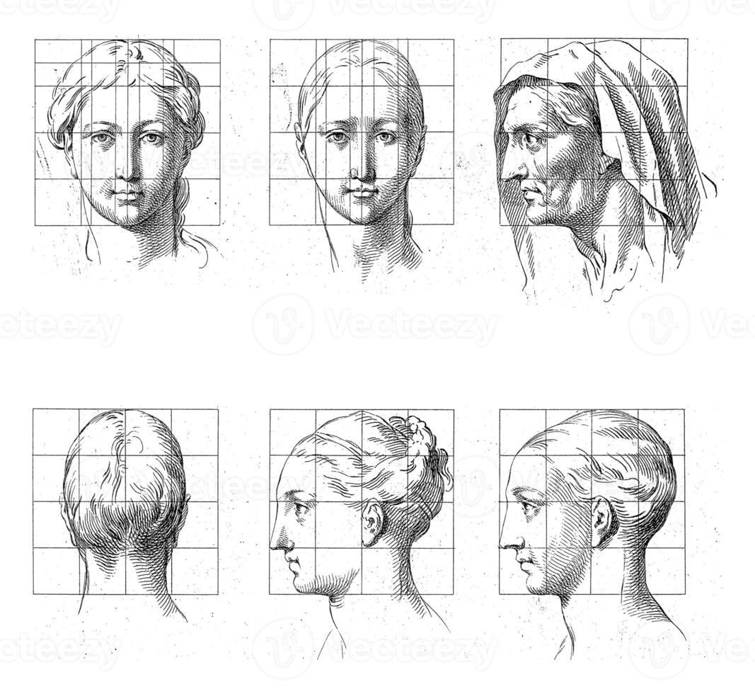 proportie studies van vrouwen hoofden foto