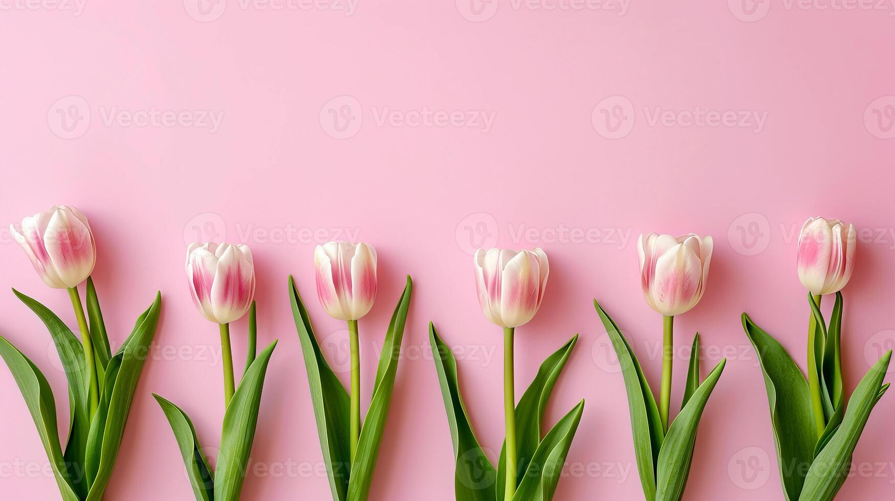 ai gegenereerd zes licht roze tulpen Aan een pastel roze achtergrond met ruimte voor tekst. foto
