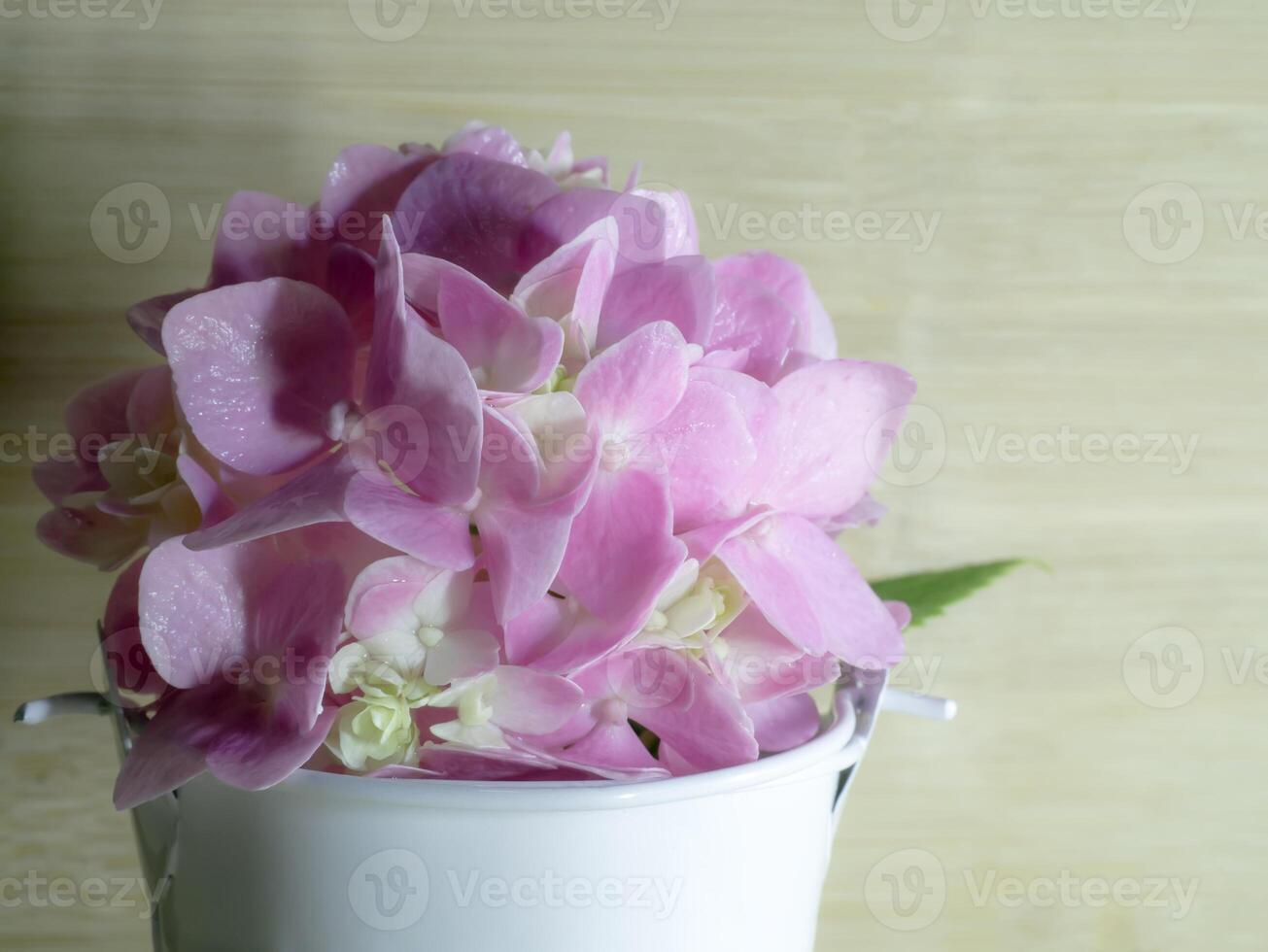 close-up hortensia bloem foto