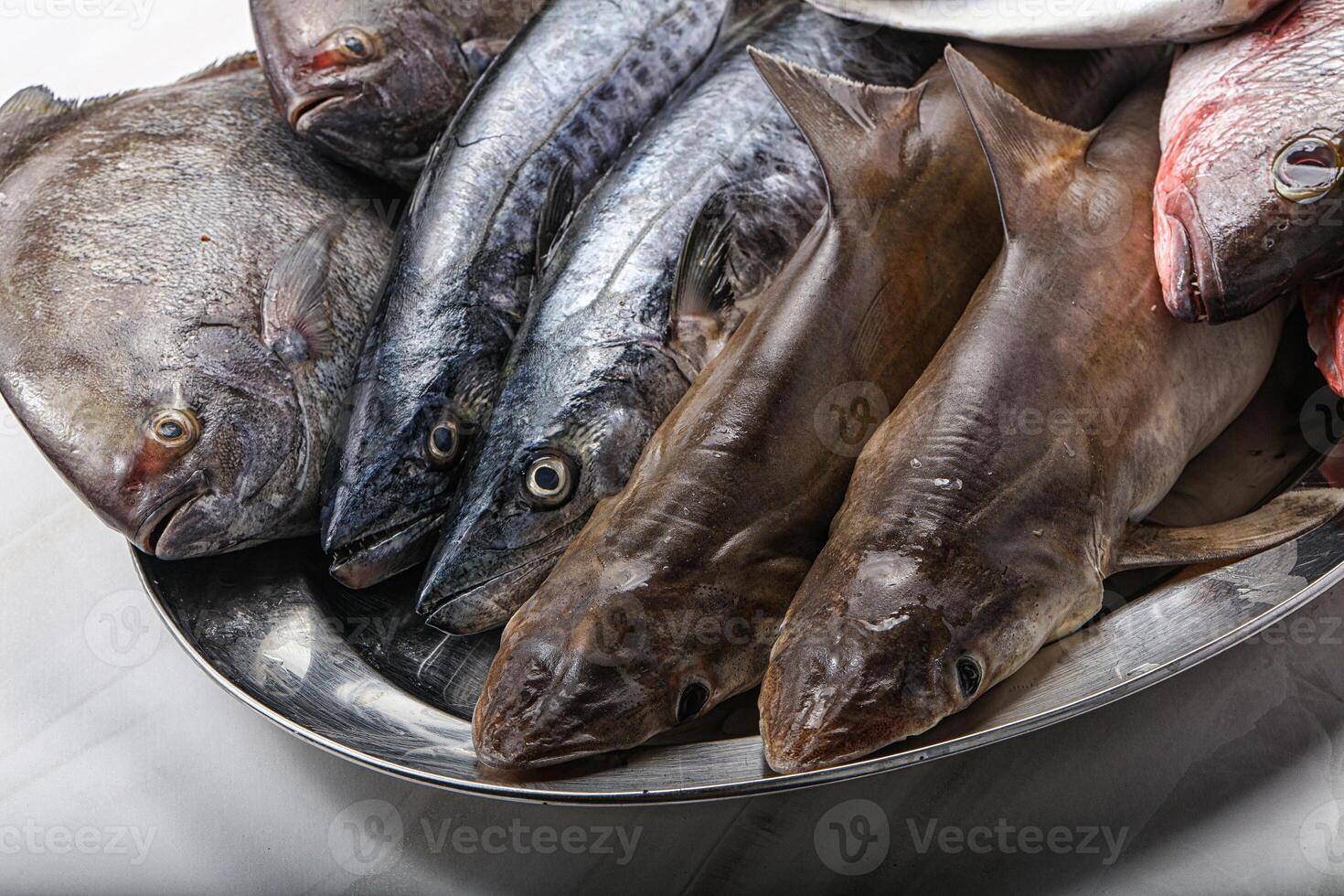 rauw vis mengen voor Koken foto