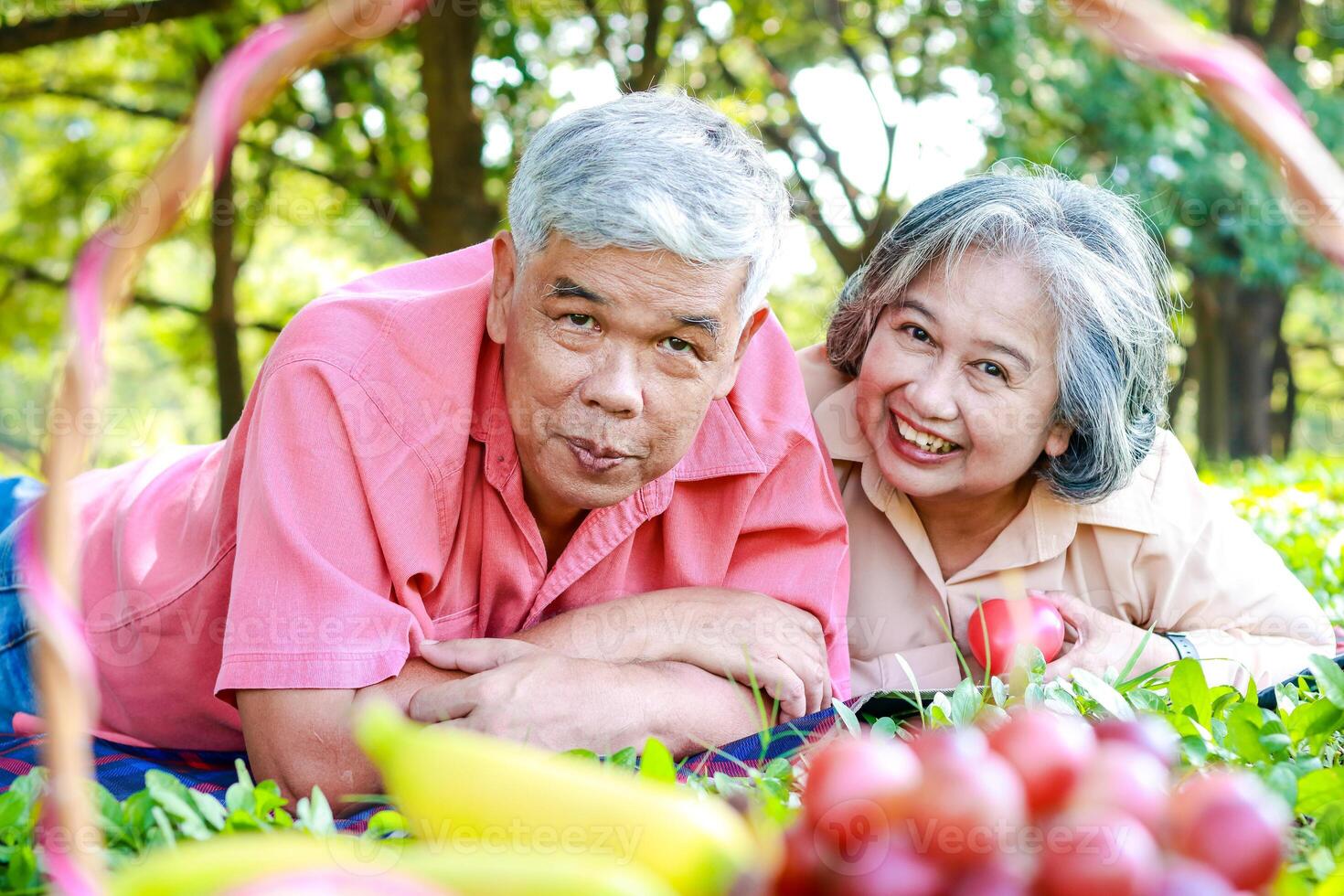 Aziatisch ouderen paar picknick in de park aan het liegen Aan de gras met een mand van fruit. ze zijn genieten van hun vakantie. de concept van leven in pensioen naar worden Vrolijk, aan het eten gezond voedsel. foto