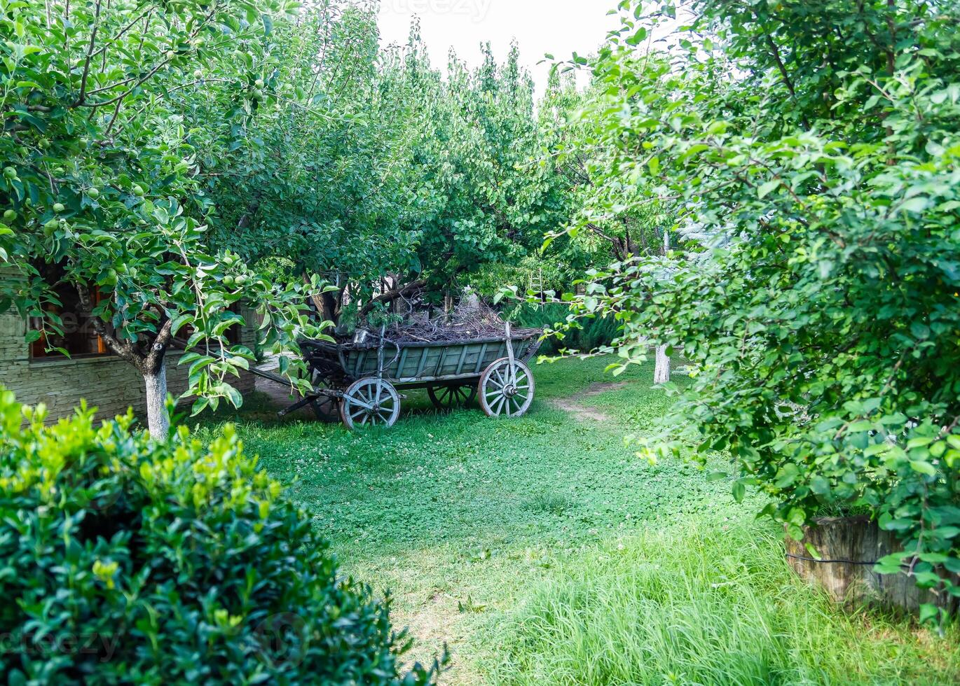 voorjaar visie in voorjaar foto