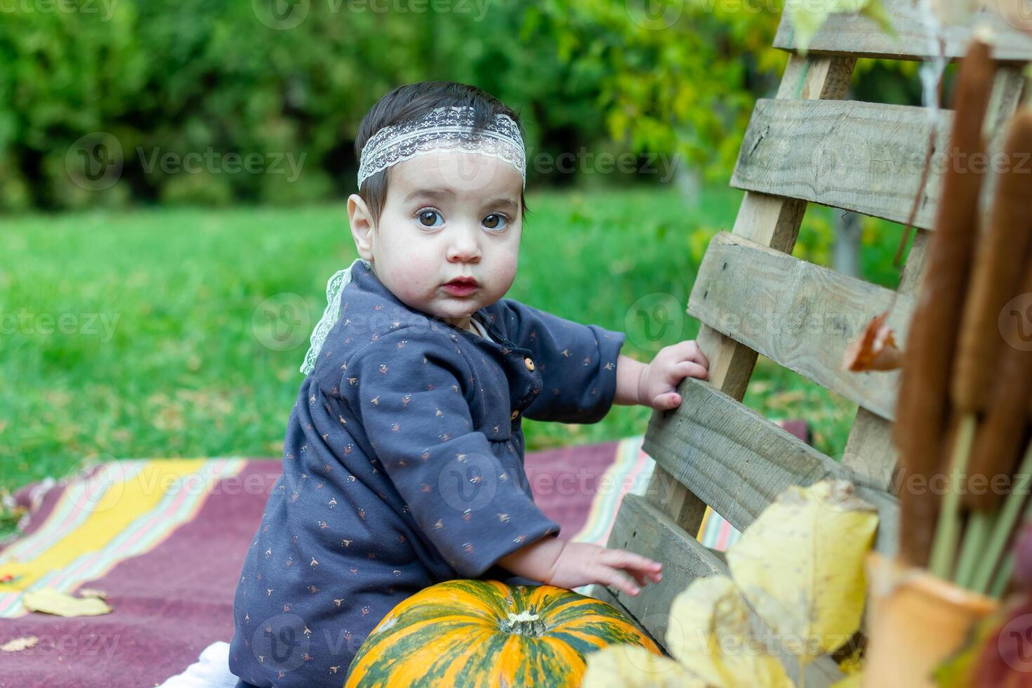 de weinig kind spelen in de park met fruit, weinig meisje in de herfst park foto