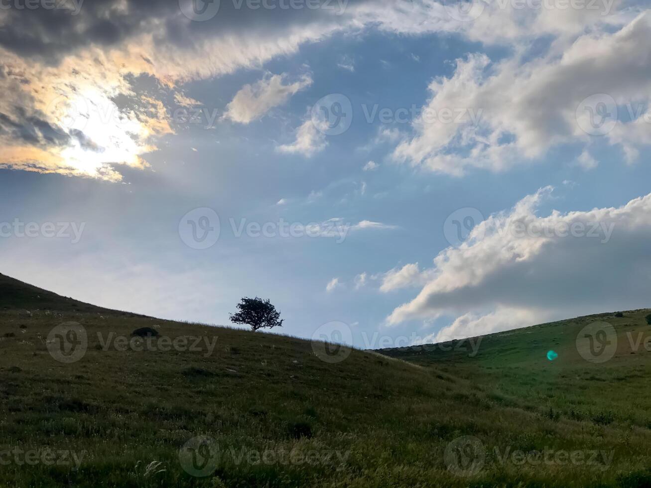 voorjaar landschap, natuur in voorjaar foto