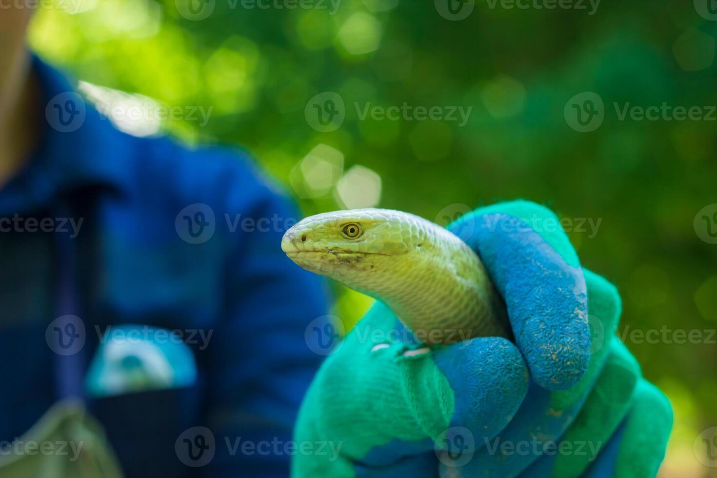 boer Holding een groen slang, arbeider Holding een groen slang foto