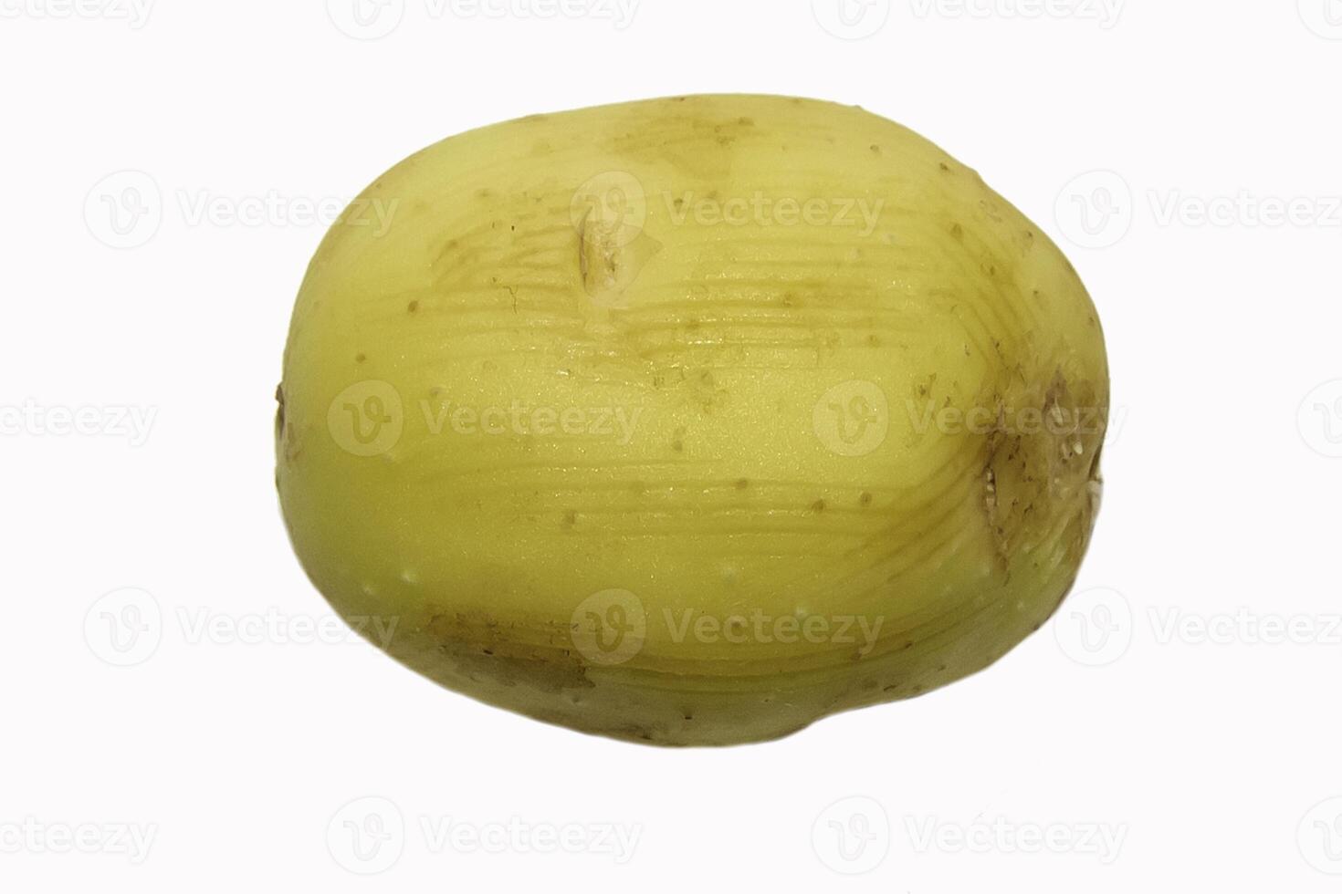 aardappel geïsoleerd Aan wit achtergrond, aardappel geïsoleerd Aan wit, aardappel Aan een wit achtergrond foto