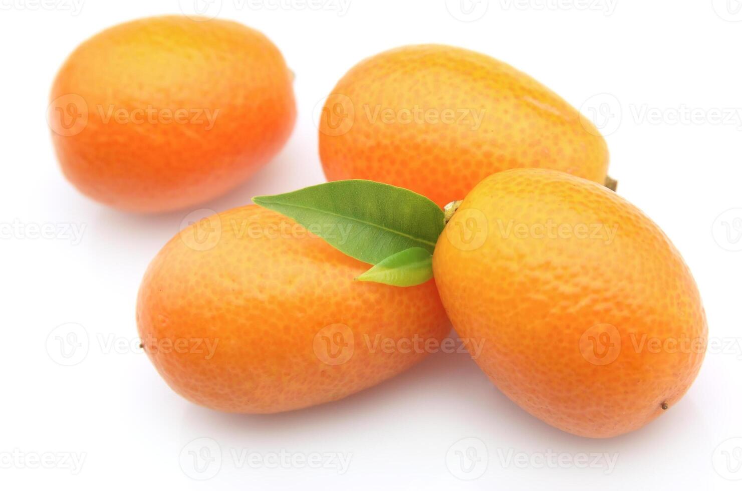 Kumquat Aan wit achtergronden foto