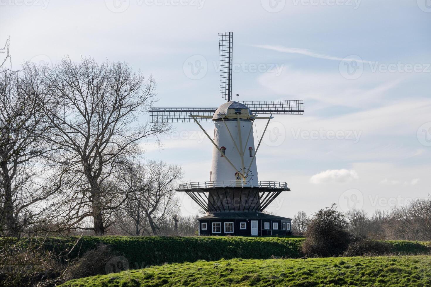 windmolen de koe ,veer, Zeeland, Nederland foto