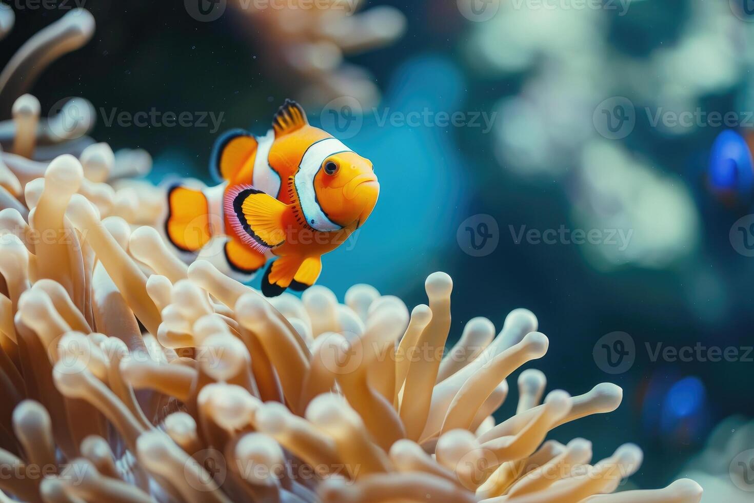 ai gegenereerd amphiprion Ocellaris clown vis en anemoon in zee. foto