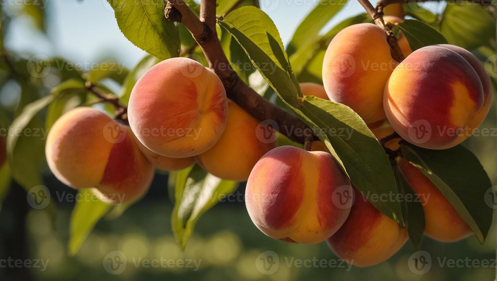 ai gegenereerd rijp perziken Aan een Afdeling in de tuin foto