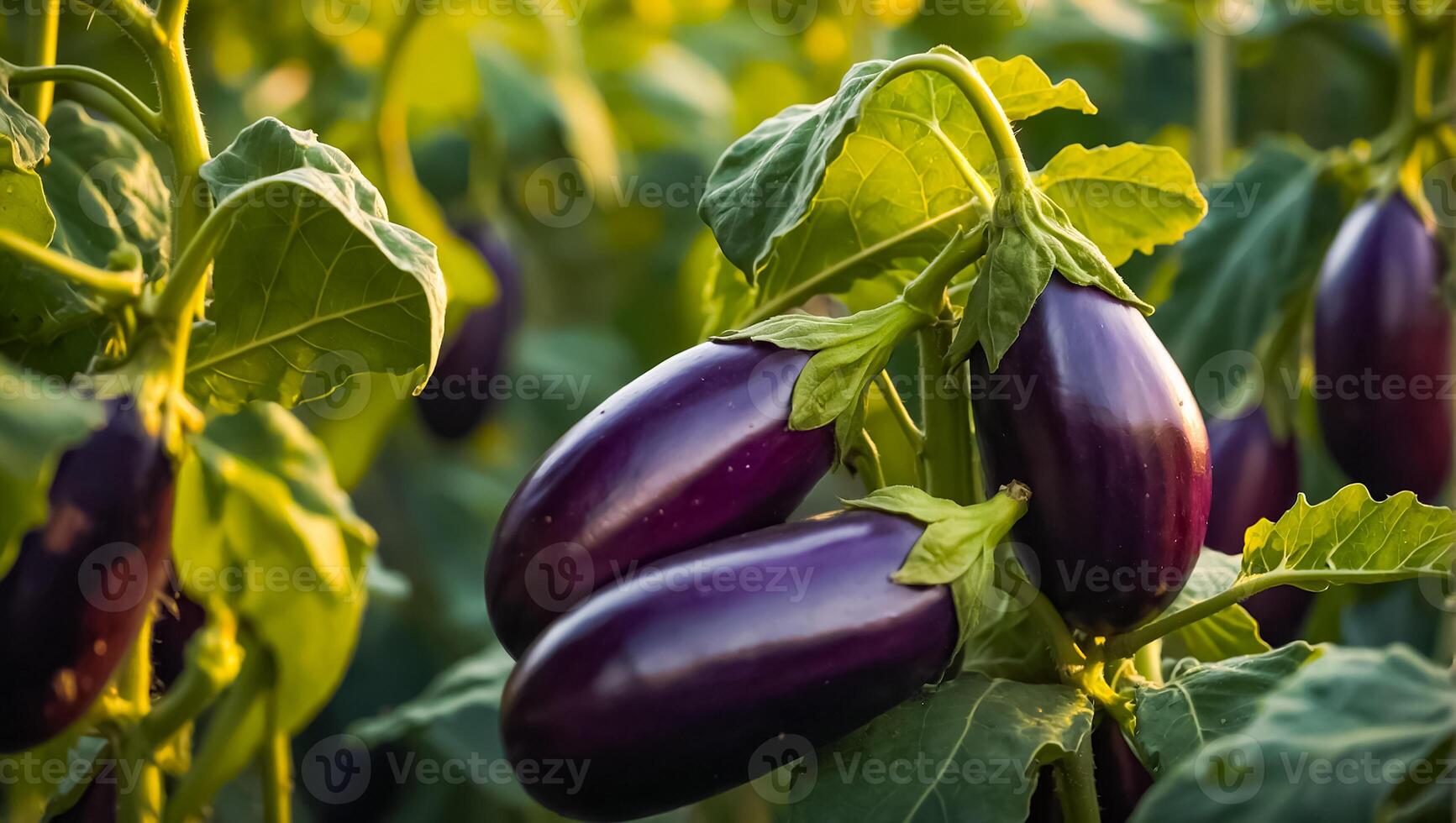 ai gegenereerd rijp aubergine de tuin buitenshuis foto