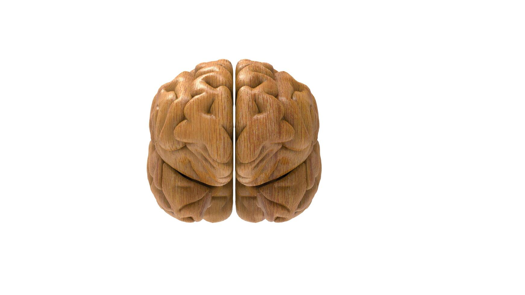 3d hersenen voorwerp Aan wit achtergrond foto