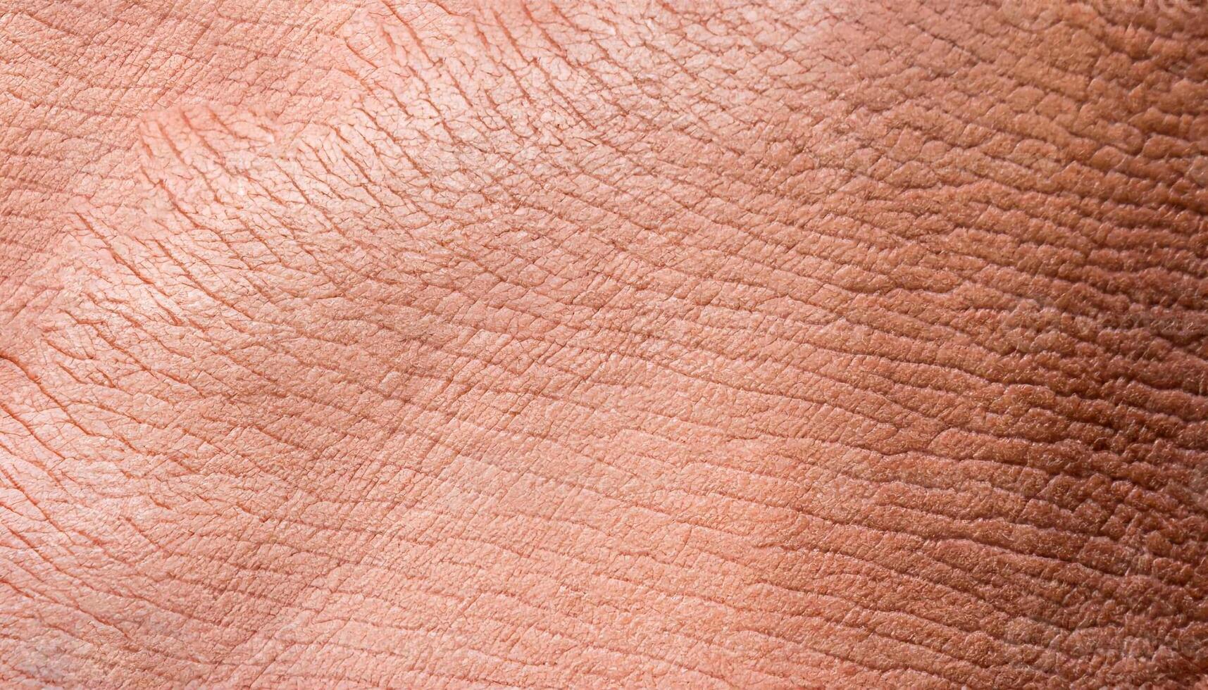 macro foto structuur van varken huid