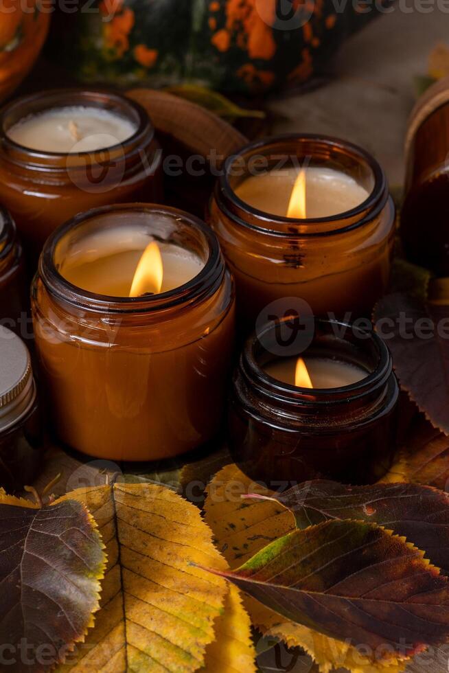 soja kaarsen brandwond in glas potten. boom bladeren. comfort Bij huis. kaars in een bruin kan. geur en licht. geparfumeerd handgemaakt kaars. aroma therapie. herfst humeur. knus huis decor in val. feestelijk decoratie foto