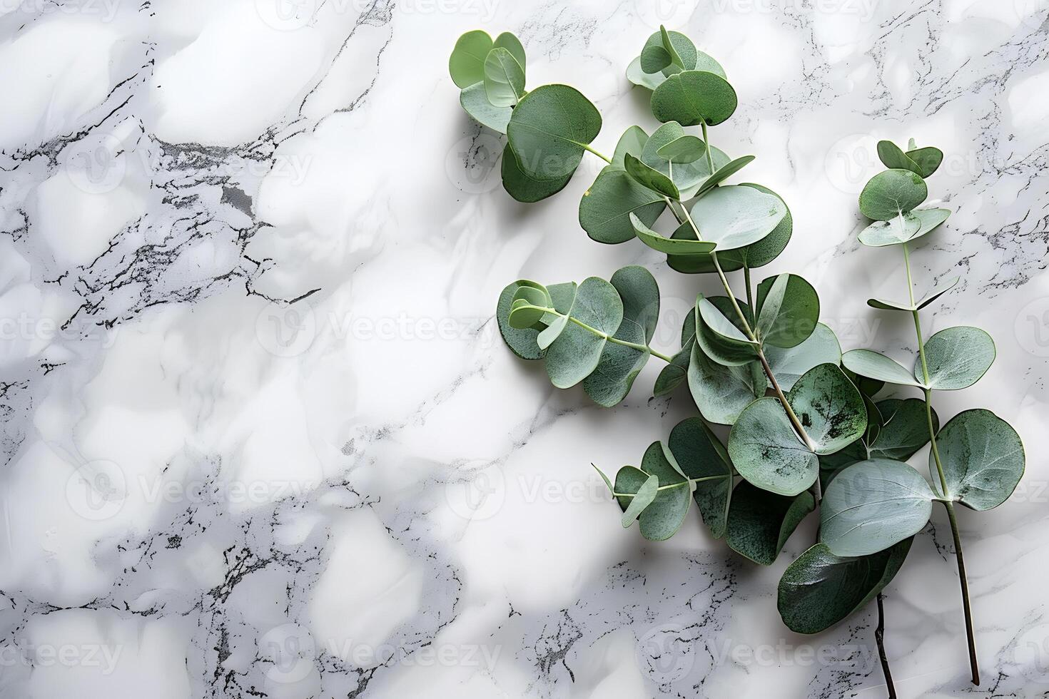 ai gegenereerd eucalyptus bladeren Aan marmeren achtergrond foto