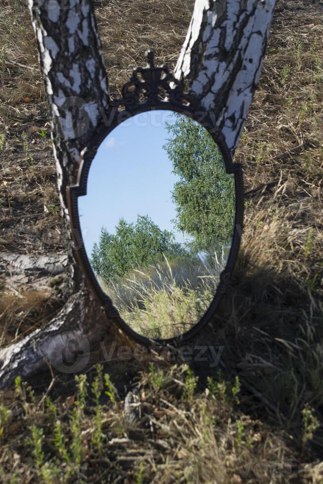 wijnoogst spiegel in de zomer veld. reflectie van natuur in een spiegel. foto