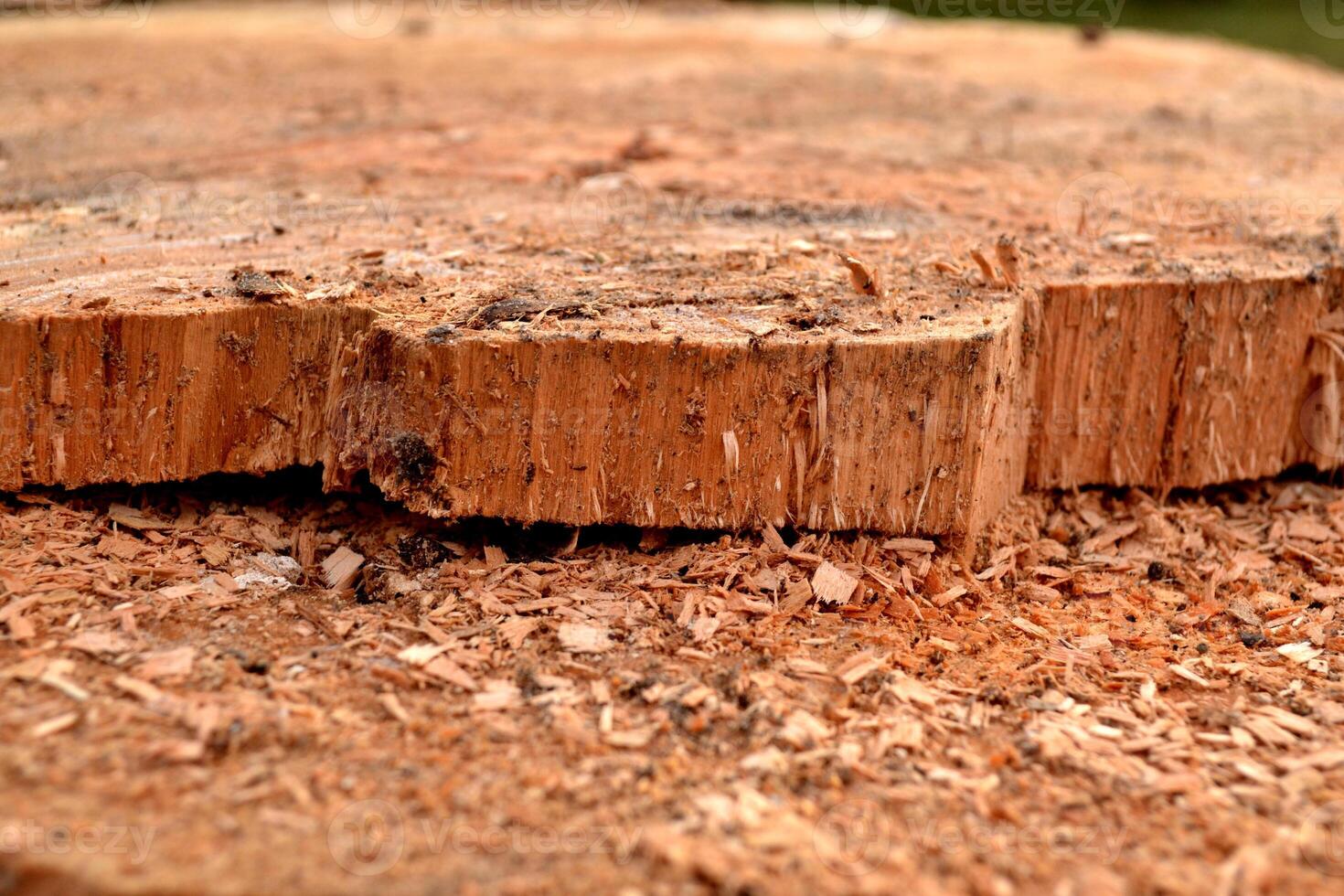 houten structuur met zaagsel. zag molen foto