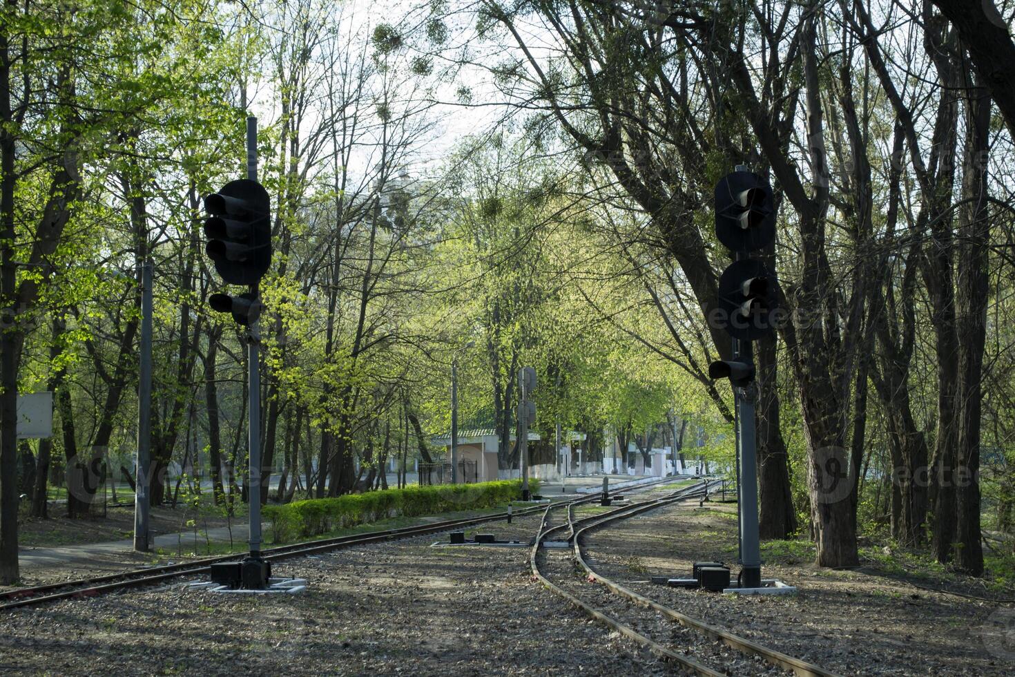 spoorweg weg in een Woud. foto