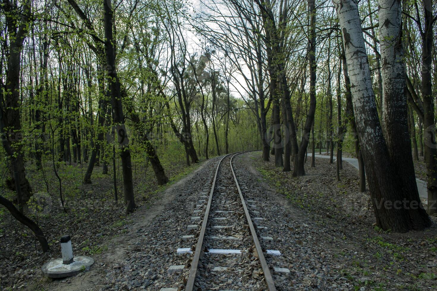 spoorweg weg in een Woud. foto