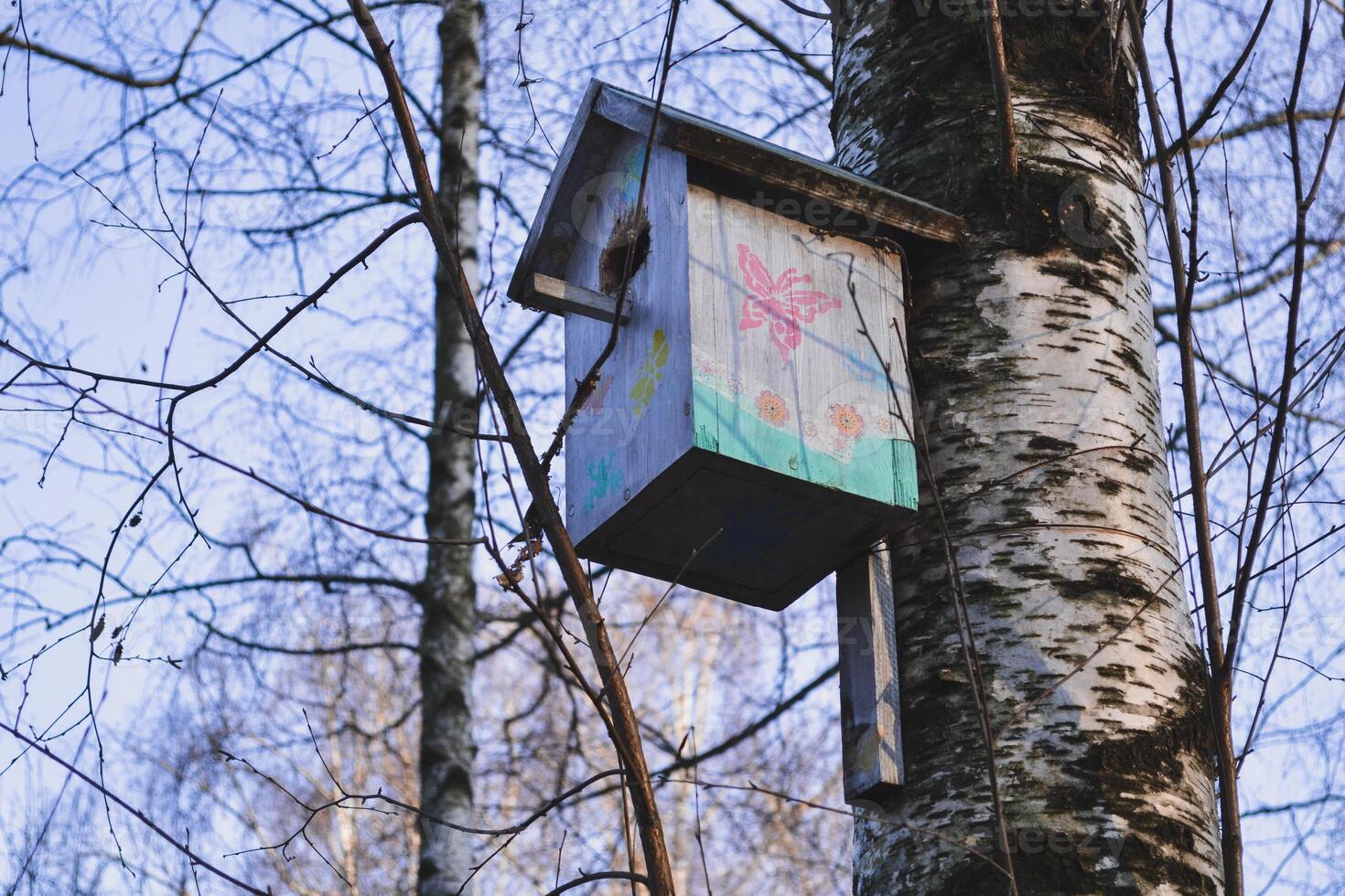 kleurrijk vogelhuisje Aan de boom. nesten doos. foto