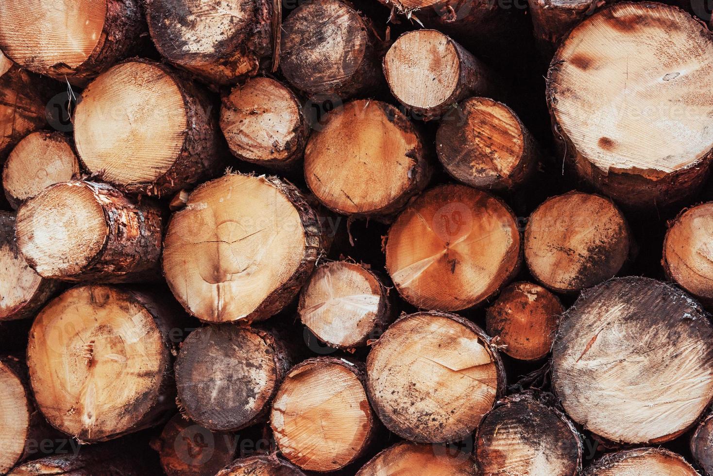 textuur van hout. close-up zicht op de voorkant van veel boomstammen die zijn voorbereid op de winter. natuur achtergrond foto