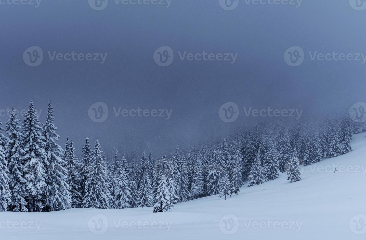 majestueus winterlandschap, dennenbos met bomen bedekt met sneeuw. een dramatisch tafereel met lage zwarte wolken, een stilte voor de storm foto