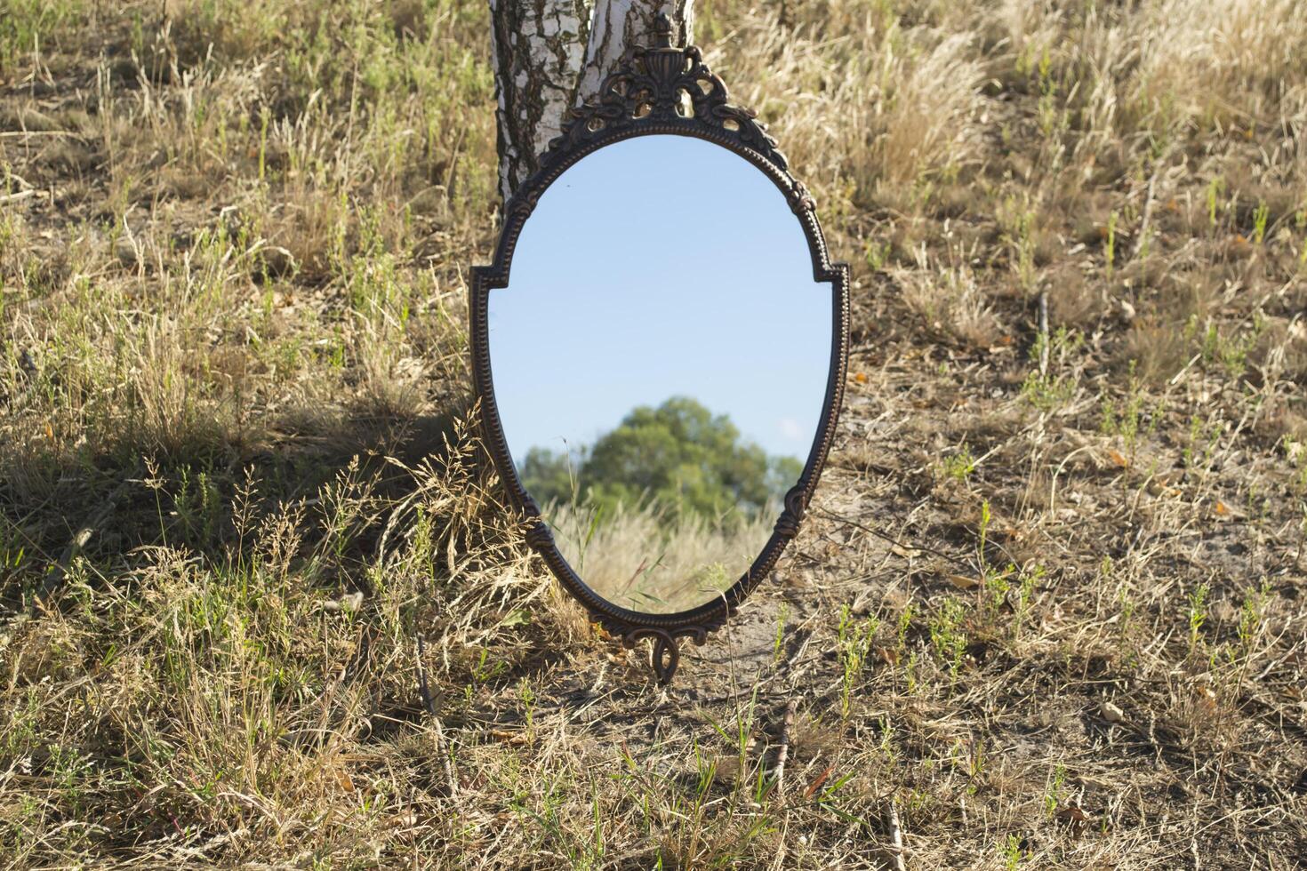 wijnoogst spiegel in de zomer veld. reflectie van natuur in een spiegel. foto