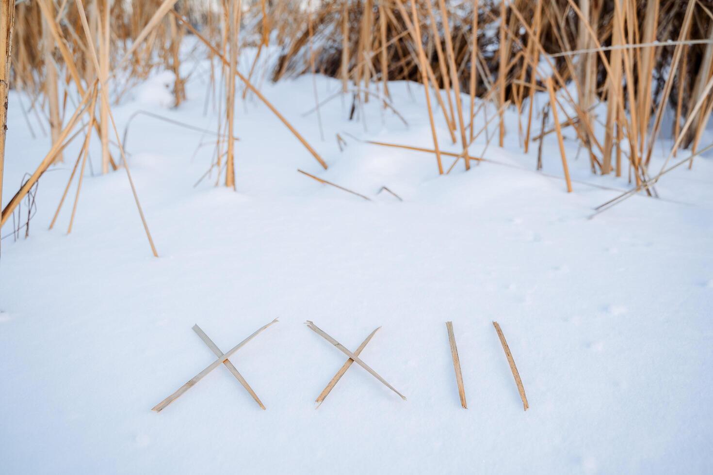 2022 nieuw jaar. de getallen van de takken zijn gelegd uit in de sneeuw. Romeins cijfers zijn geschreven in winter Aan ijs. foto