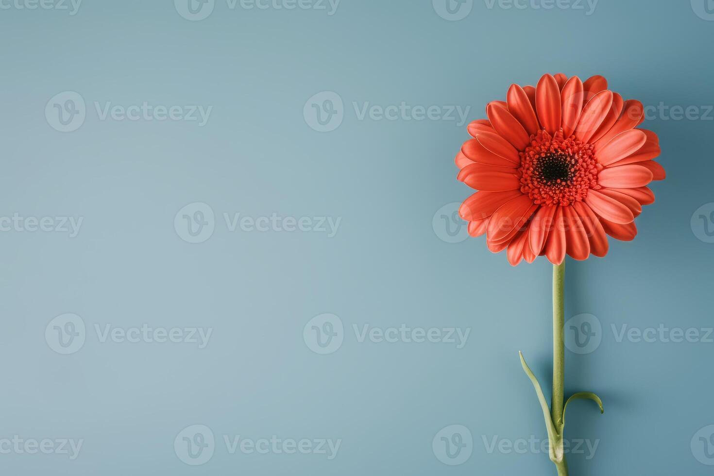 ai gegenereerd rood bloem Aan een blauw achtergrond foto