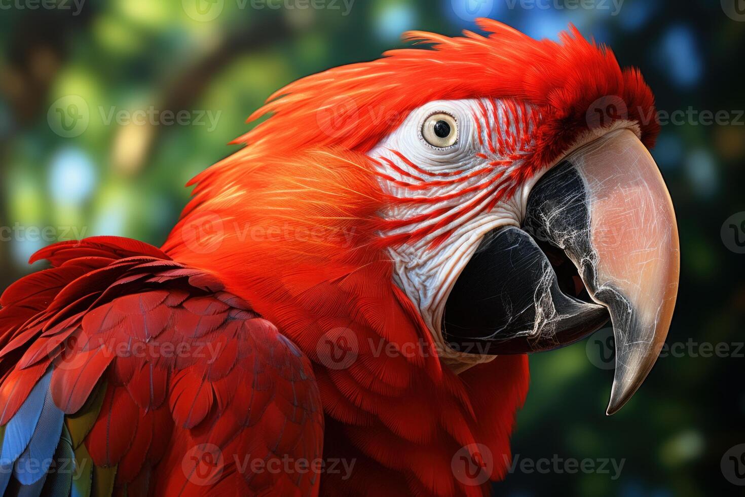 ai gegenereerd gedetailleerd rood papegaai hoofd detailopname. genereren ai foto