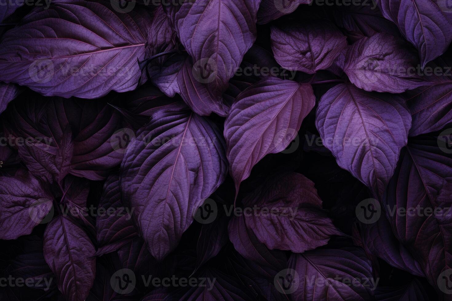 ai gegenereerd levendig Purper bloemen detailopname dramatisch. genereren ai foto