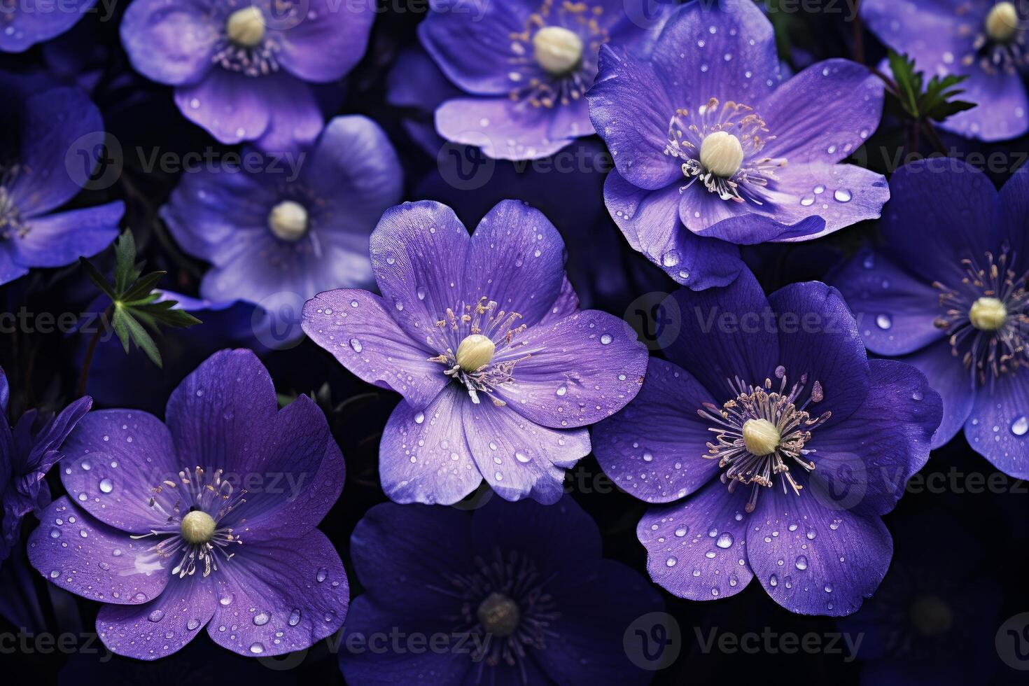 ai gegenereerd levendig Purper bloemen detailopname. genereren ai foto