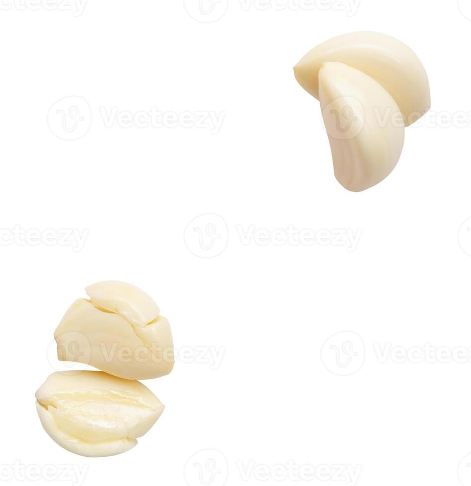 top visie van bonsde knoflook kruidnagel in reeks geïsoleerd Aan wit achtergrond met knipsel pad foto