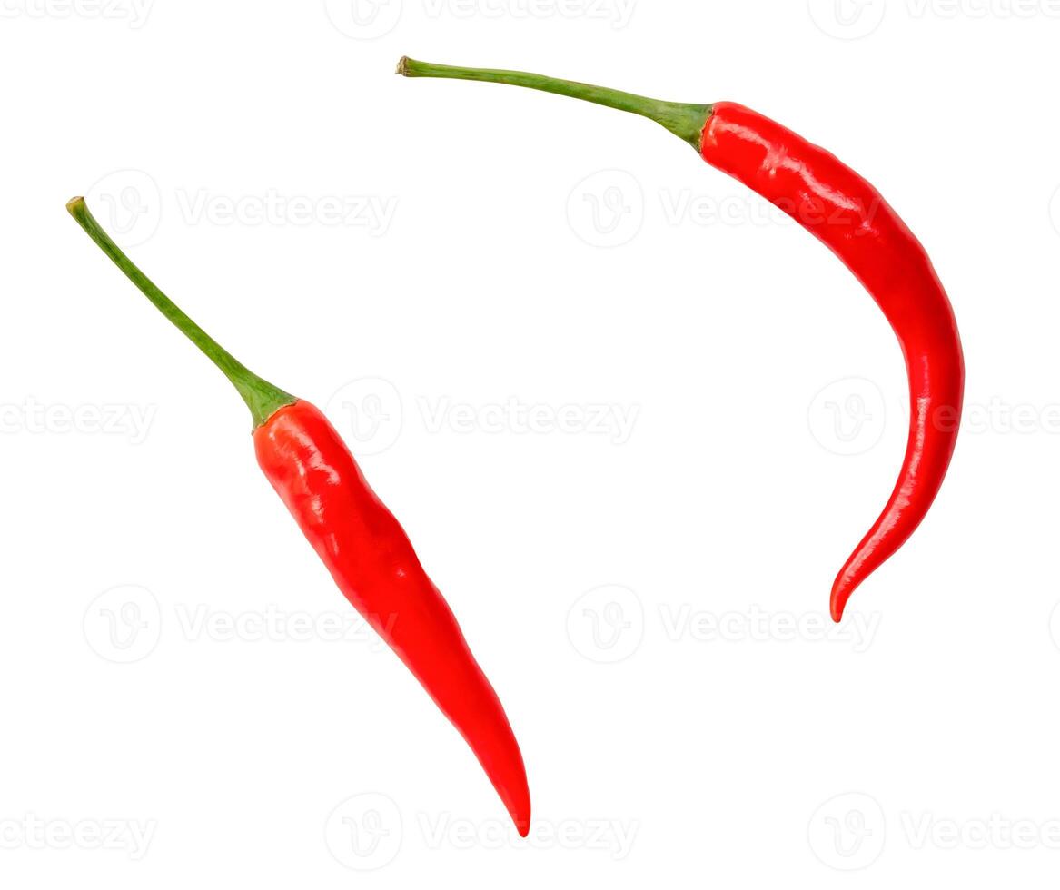 top visie reeks van rood Chili paprika's geïsoleerd Aan wit achtergrond met knipsel pad foto