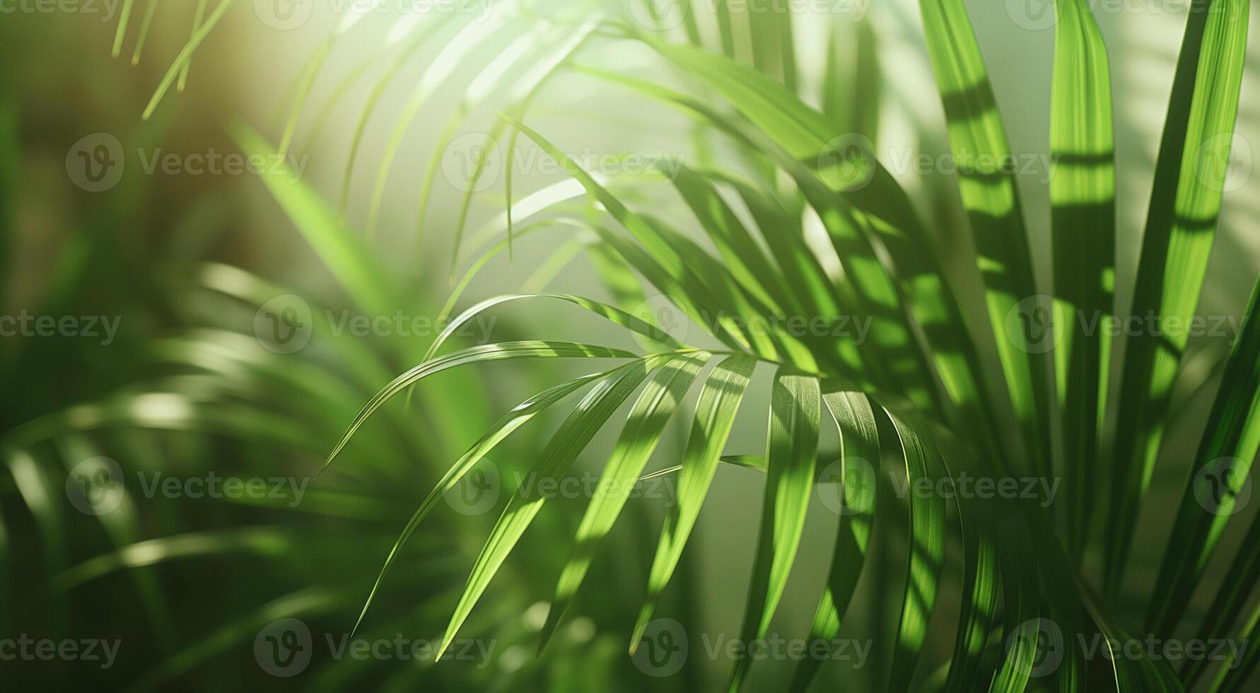 ai gegenereerd weelderig groen palm bladeren genieten in zacht zonlicht, beeltenis een rustig natuurlijk instelling foto