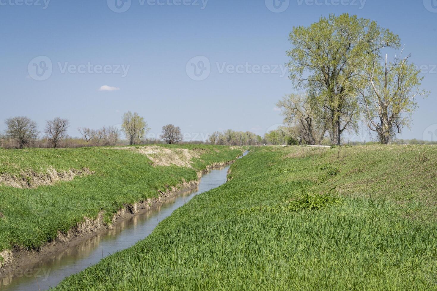 irrigatie greppel in löss blufs nationaal dieren in het wild toevluchtsoord, Missouri foto