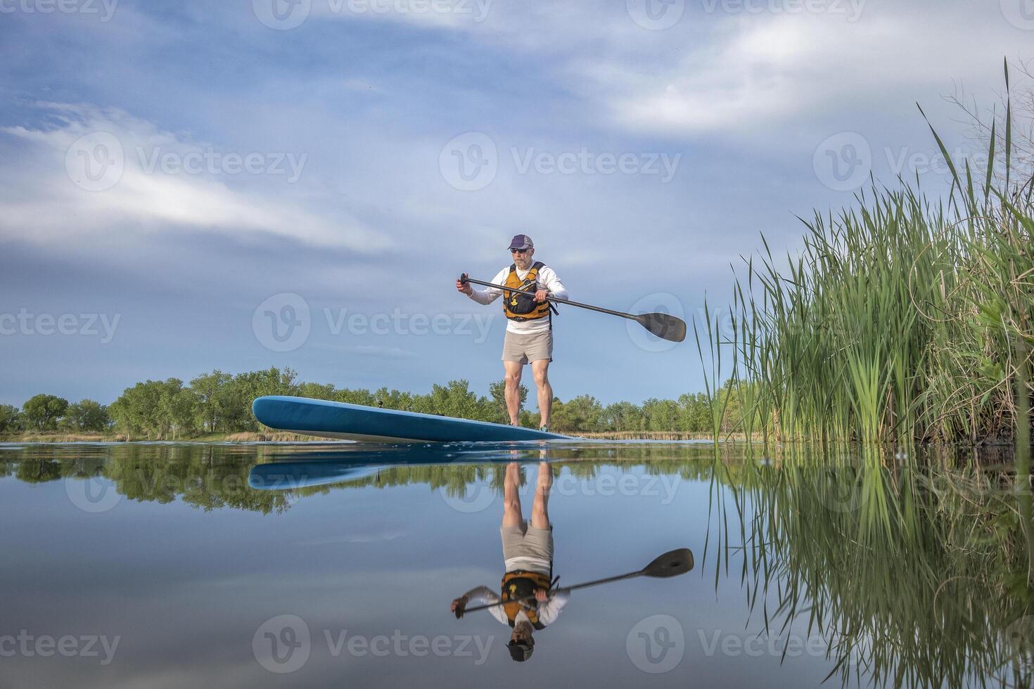 senior mannetje peddelaar is peddelen een staan omhoog paddleboard Aan een kalmte meer in lente, kikker perspectief van een actie camera Bij water niveau foto