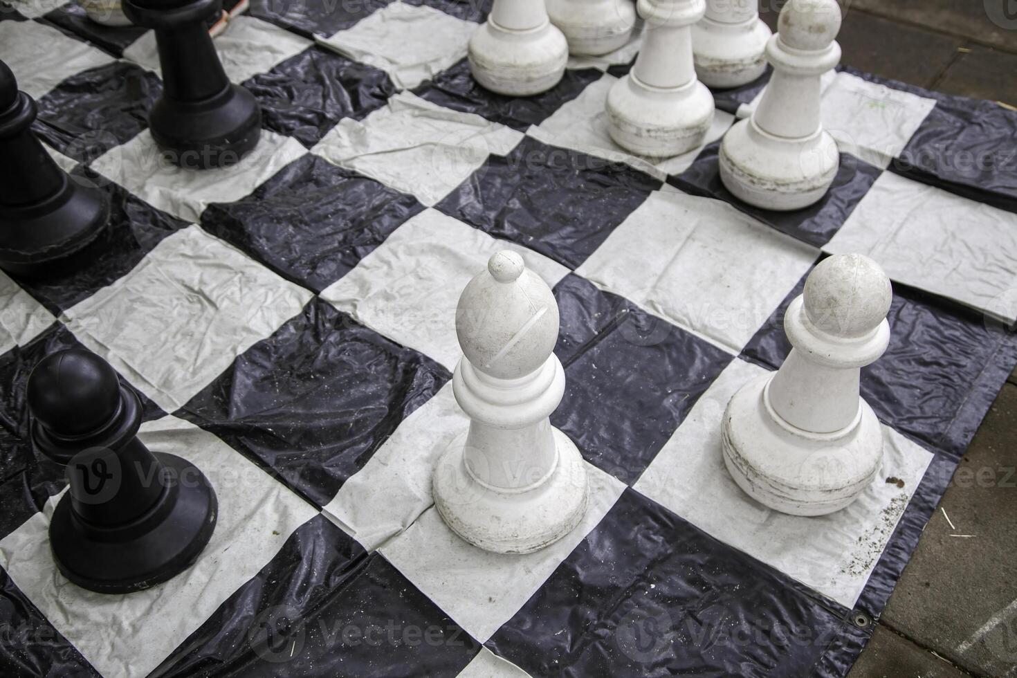 reusachtig schaak naar Speel foto