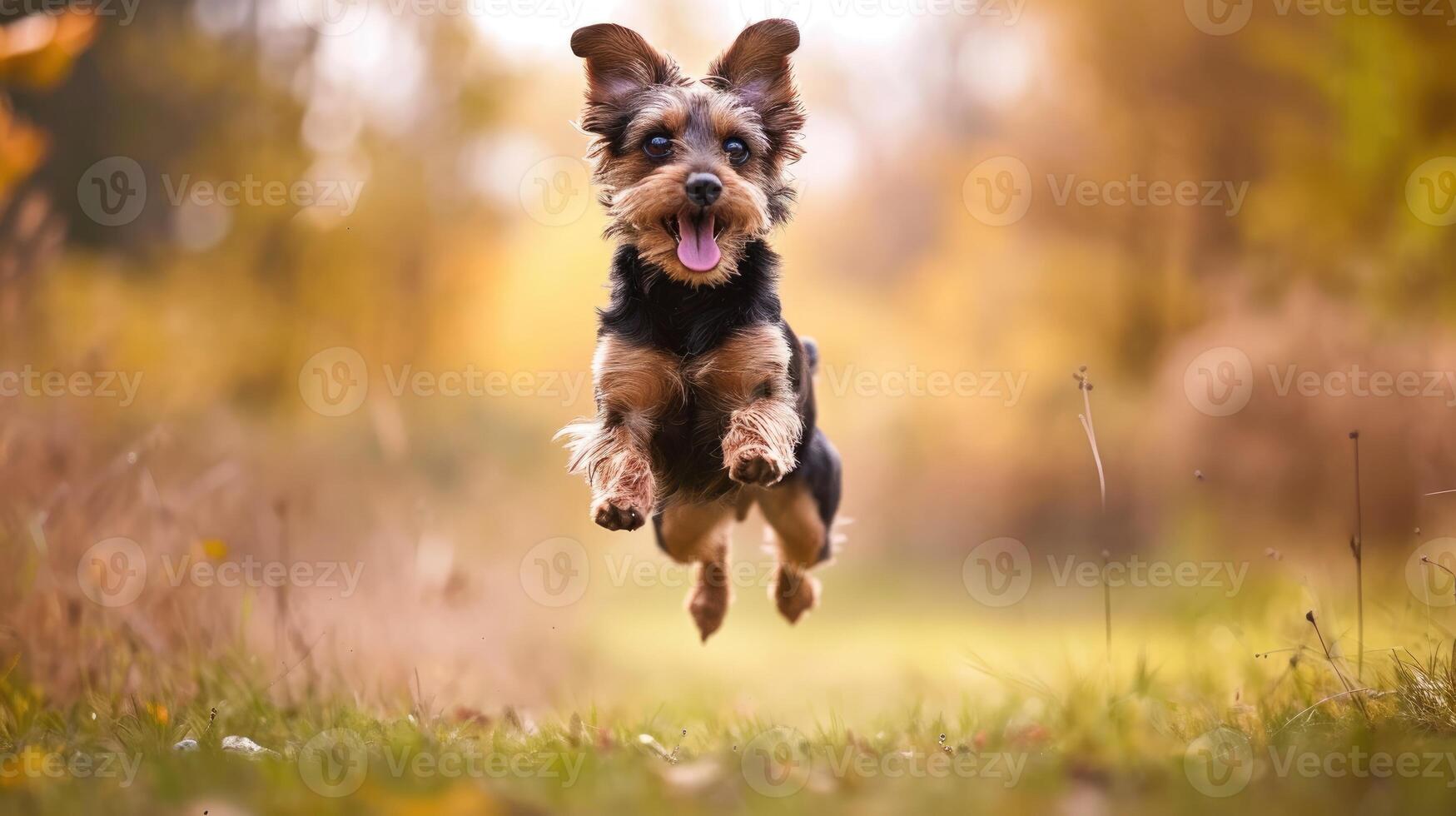 ai gegenereerd huiselijk hond springend blij in de lucht met grenzeloos energie en spanning, ai gegenereerd foto