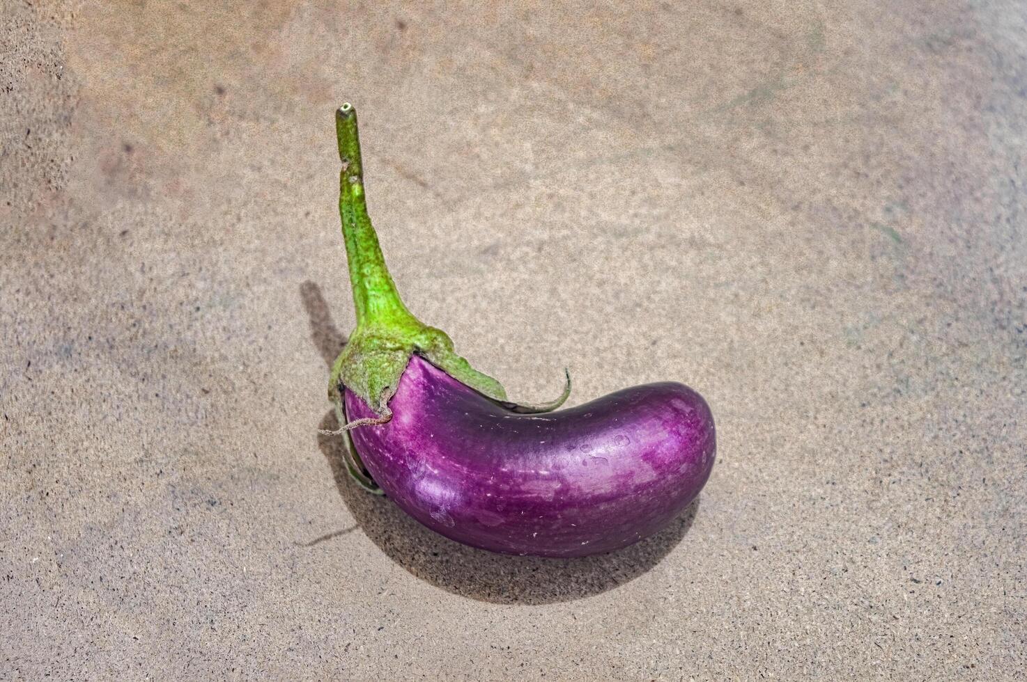 een aubergine of Purper solanum melongena aan het liegen Aan een houten bord foto
