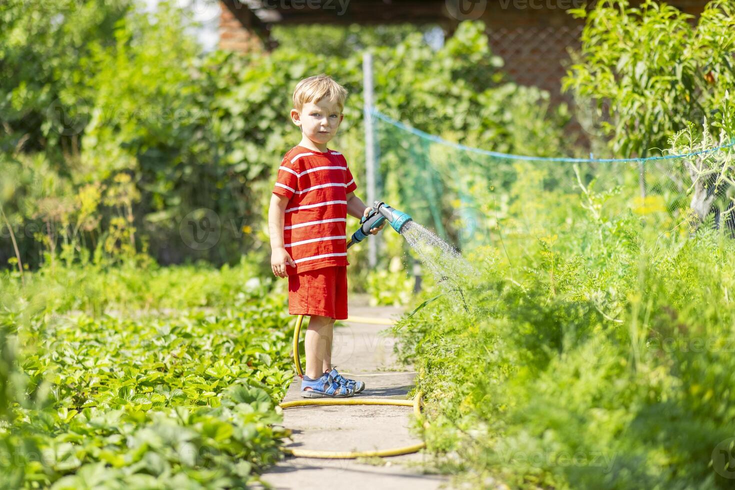 kind gieter bloemen en planten in tuin. weinig jongen tuinieren foto