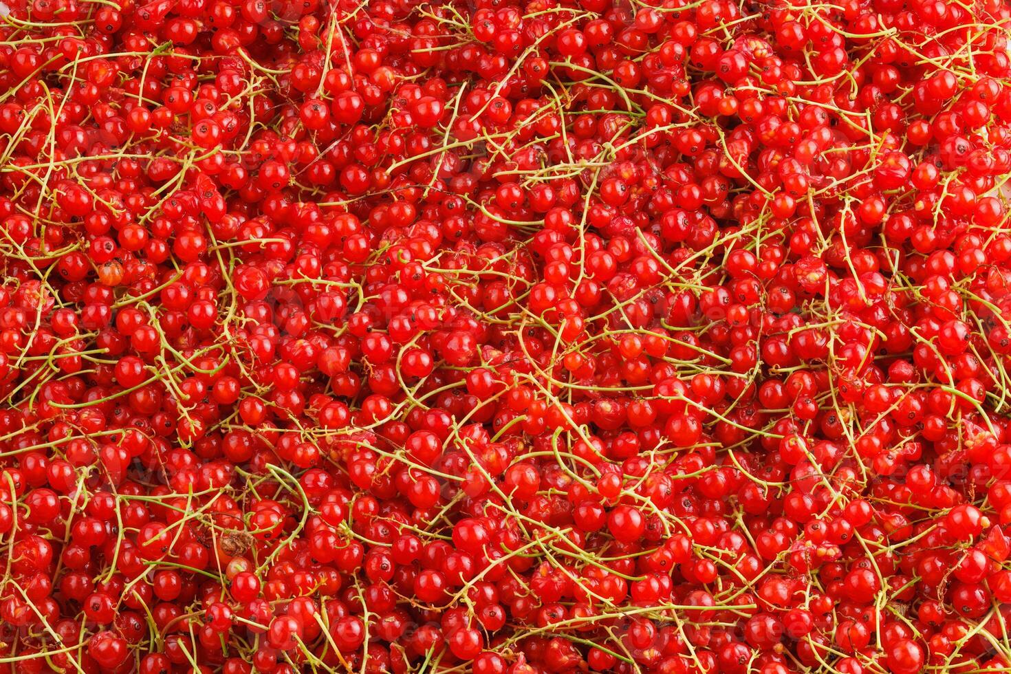 full-frame achtergrond en structuur van rood krenten stapel in hoog hoek visie foto