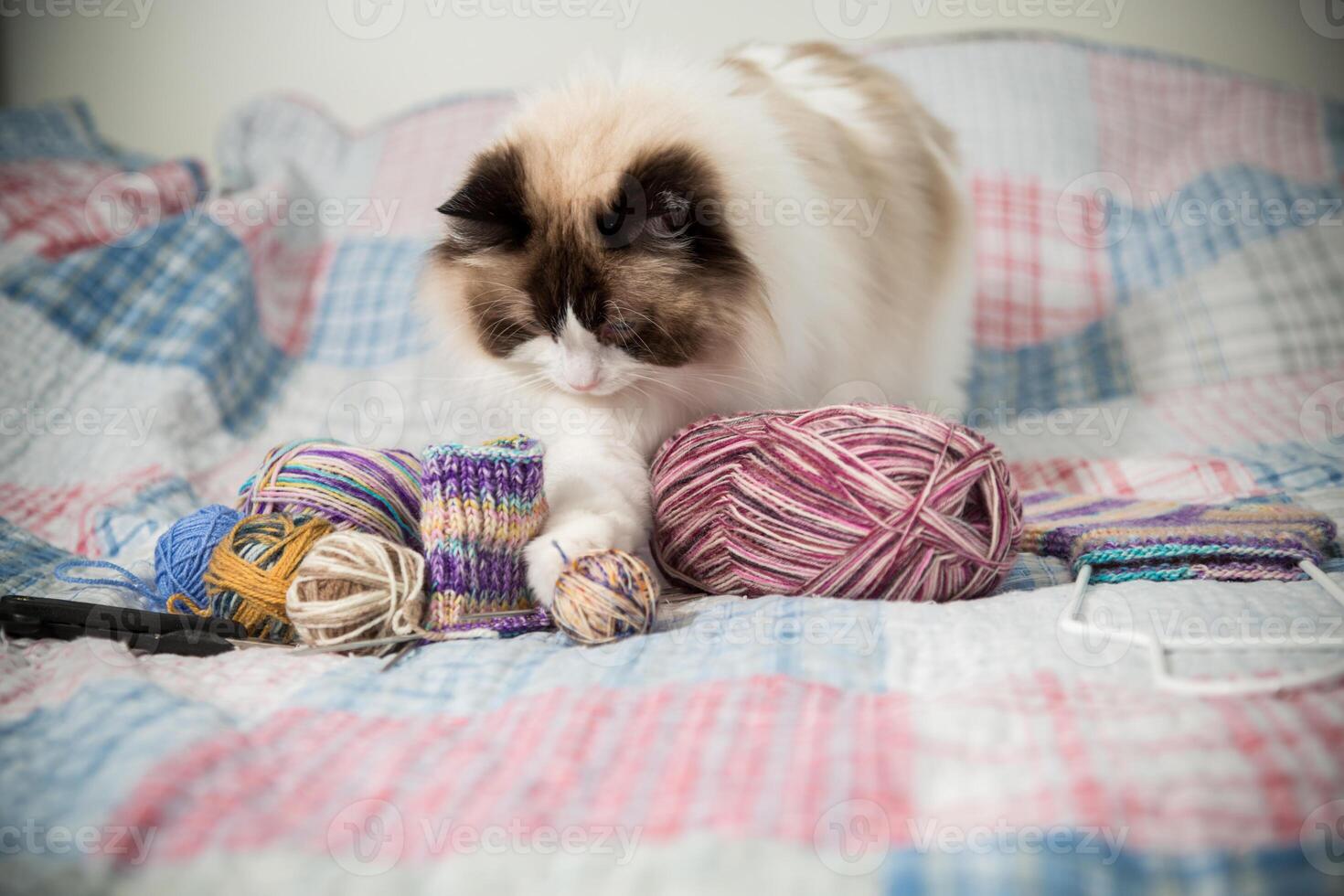 gekleurde draden, breiwerk naalden en andere items voor hand- breiwerk en een schattig huiselijk kat lappenpop foto