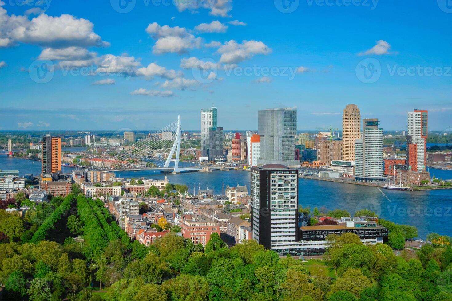 visie van Rotterdam stad en de erasmus brug foto