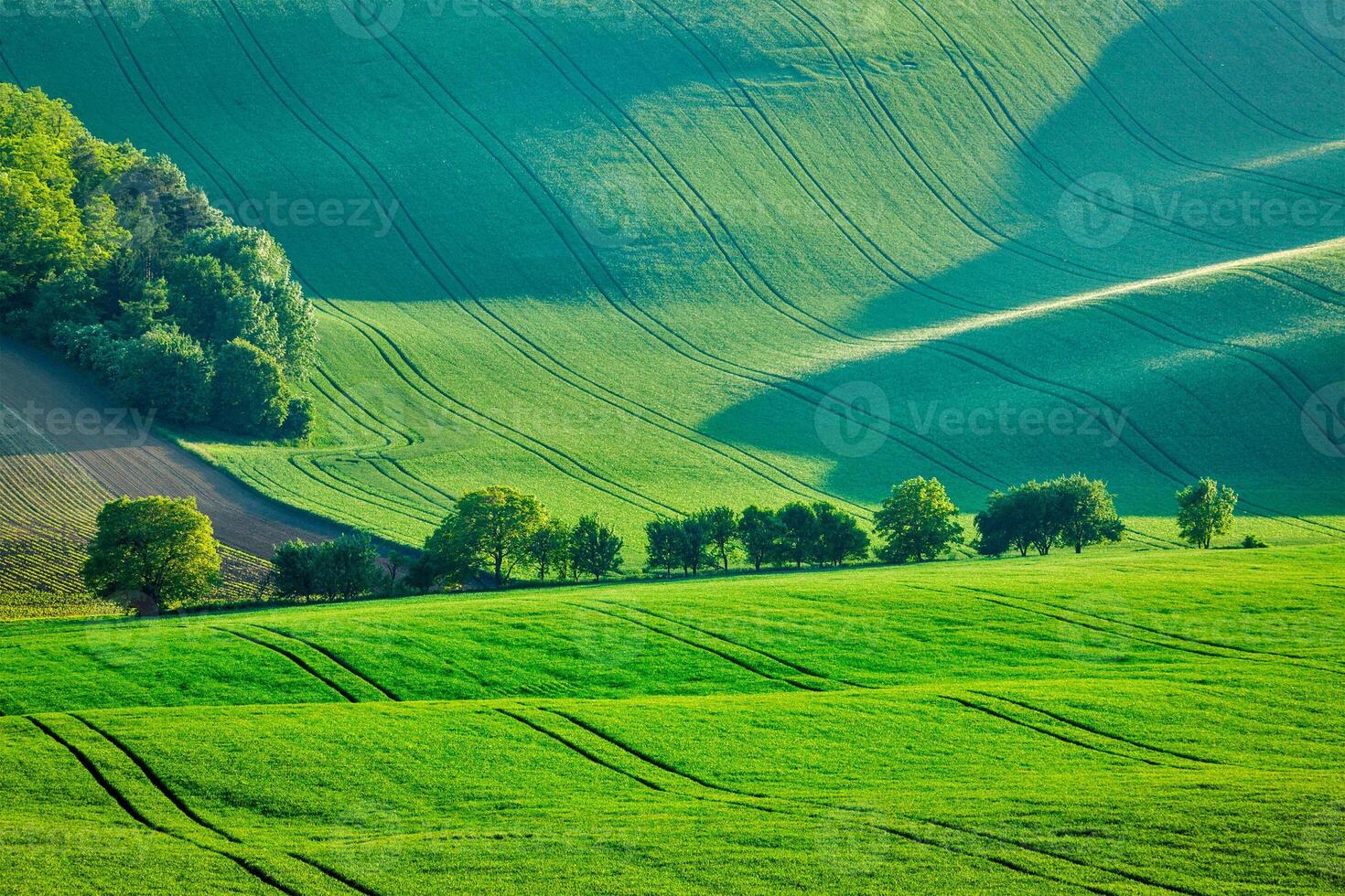 glooiend zomerlandschap van Moravië foto