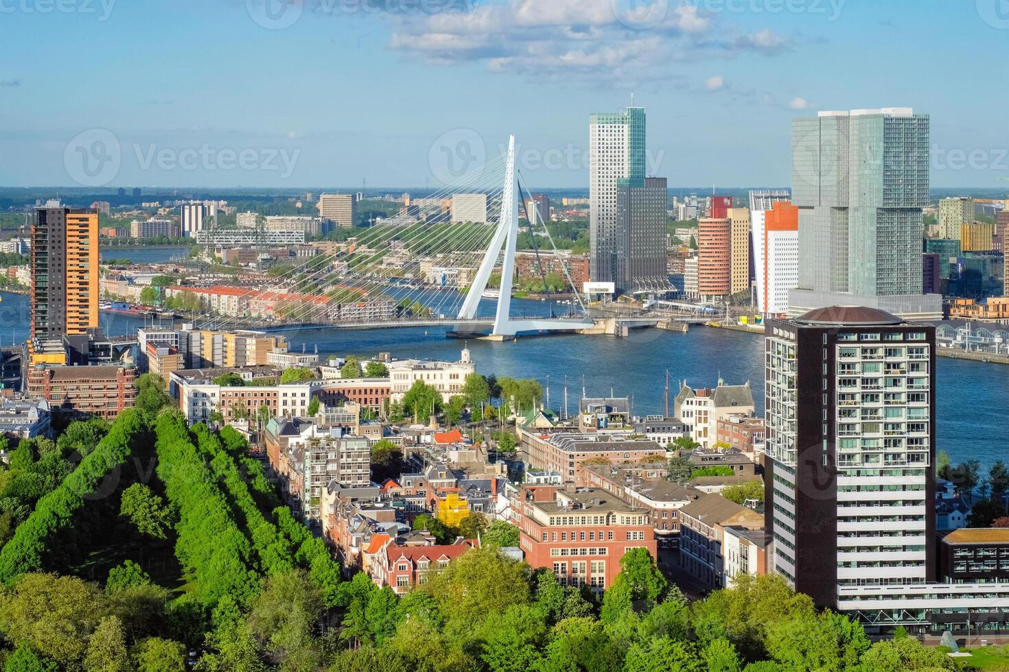 visie van Rotterdam stad en de erasmus brug foto