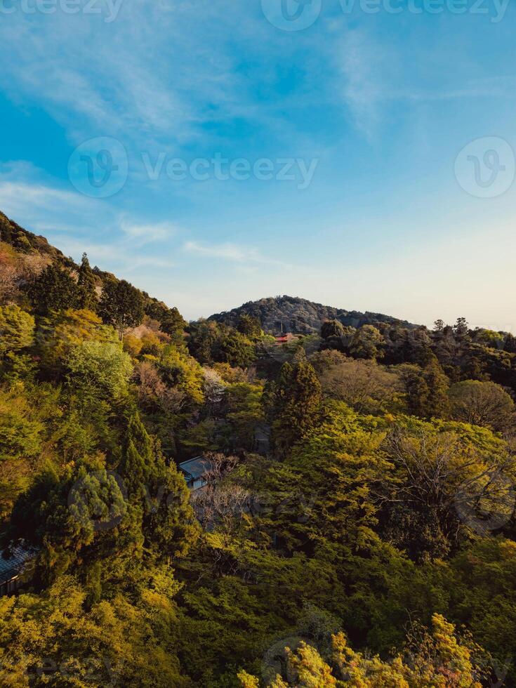 landschap visie van Japan bergen gedurende voorjaar foto